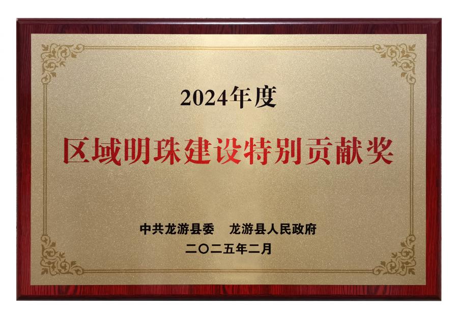 2024區(qū)域明珠建設(shè)特別貢獻獎.jpg